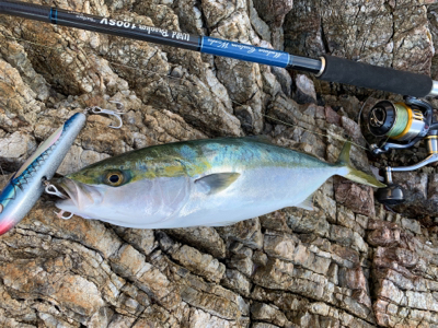 大荒れトップゲーム