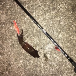 連日ヒイカゲーム☆GUNNING-STYLE