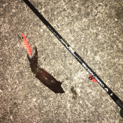 連日ヒイカゲーム☆GUNNING-STYLE