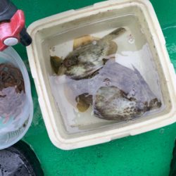 カワハギ乗り合い船