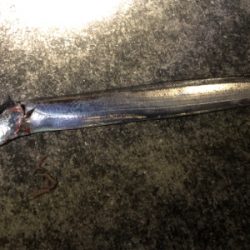 やっぱりホームエリア(^^)