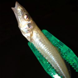 今回は初めての場所へ