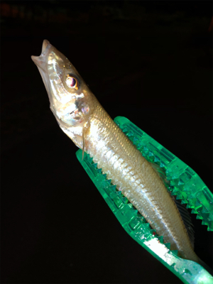 今回は初めての場所へ