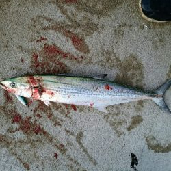 寒々ショアジギング