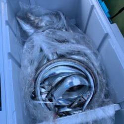 2年ぶりのオフショア