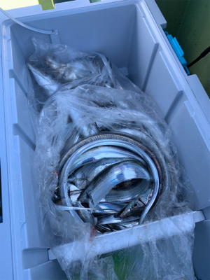 2年ぶりのオフショア