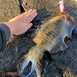 久しぶりの南紀方面釣行