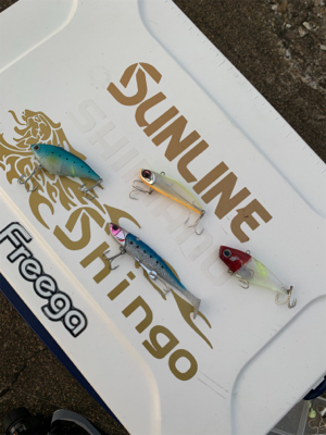 朝まづめタチウオ釣り