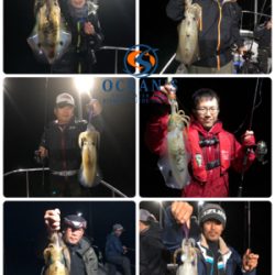 テップランで良型アオリイカ