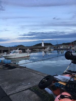 大雨からの快晴