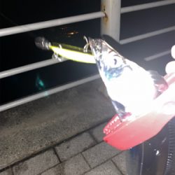 ニューロッド入魂