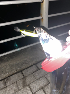 ニューロッド入魂