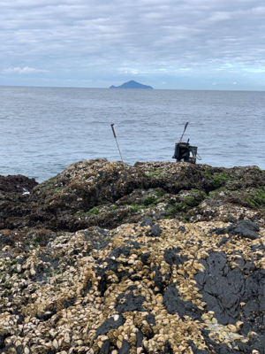 泊浦 磯 小島ハナレ