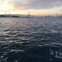 先月よりかは良さげ…？