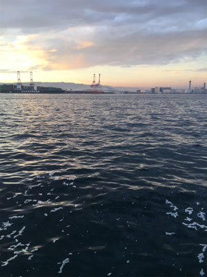 先月よりかは良さげ…？