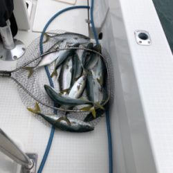 オフショア2回目