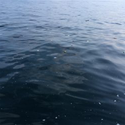 サーベリング、何とか1本、、、