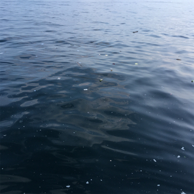 サーベリング、何とか1本、、、