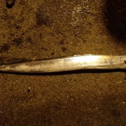 舞洲サーベリング