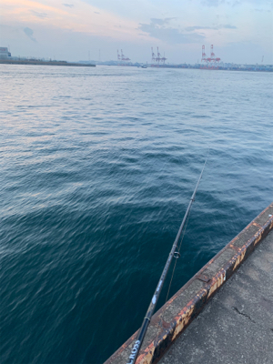 朝まづめ時合いのタチウオ釣り