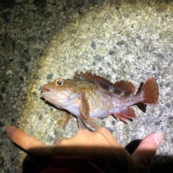 今シーズン終了間近?@8防