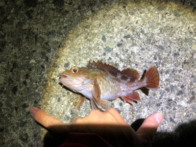 今シーズン終了間近？@8防