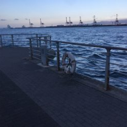 続々・サーベリング、、またしても、、、