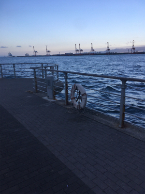 続々・サーベリング、、またしても、、、