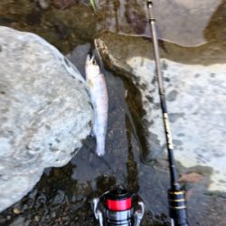 ネイティブトラウトを求めて