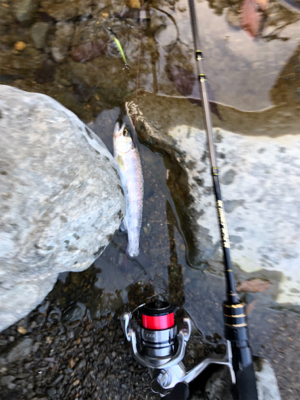 ネイティブトラウトを求めて