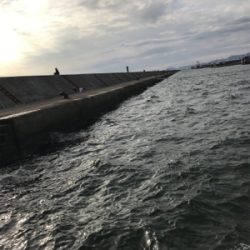 アジ泳がせ初体験