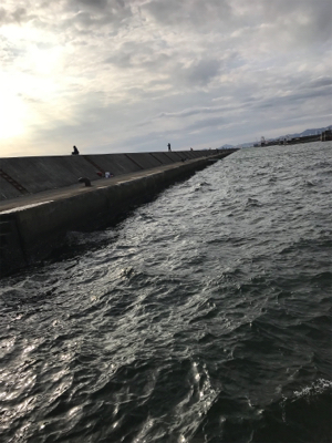 アジ泳がせ初体験