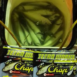 アジング練習 68