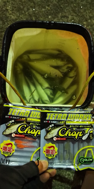 アジング練習 68