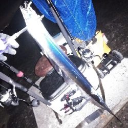 初めての沖堤防で太刀魚青物を求めて