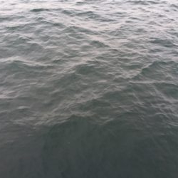 続・オクトパッシング