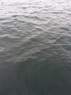 続・オクトパッシング