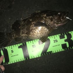 ドデカタケノコ!とヒイカゲーム☆GUNNING-STYLE