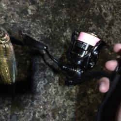 ナイトアジング