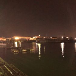 イワシを求めて