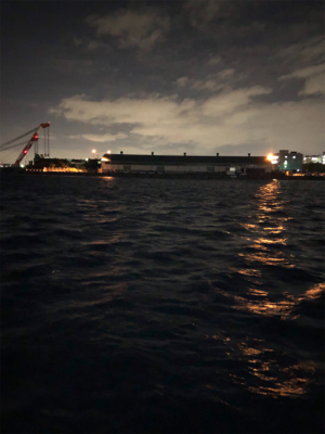 久々のタッチ〜