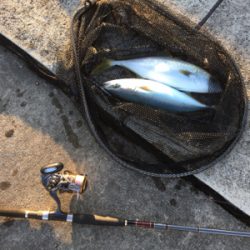 ミラクルダブル