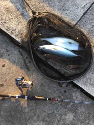 ミラクルダブル