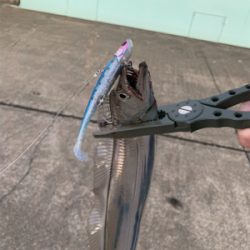 朝まづめ出勤前の朝練