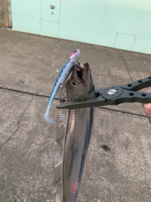 朝まづめ出勤前の朝練