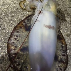 大汗かきました