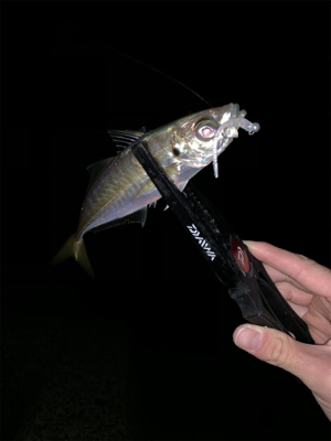 二刀流デビュー