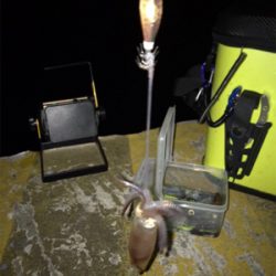 エギのローテでヒイカ釣り(^.^)