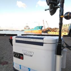 LSJ(ラストショアジギング)