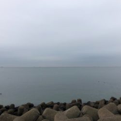 今季初湾奥ブルー